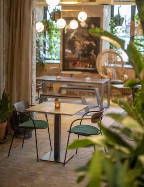 Sundew Meeting Room: Biophilic breakout space for networking and brainstorming.