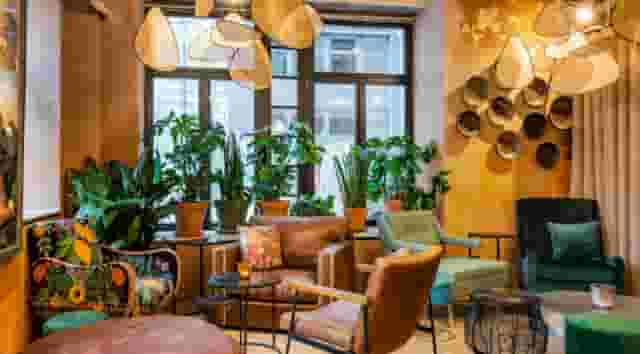 SERRA – Garden Kitchen + Urban Picnic