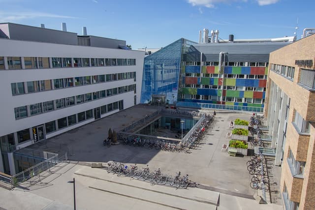 Research foundation