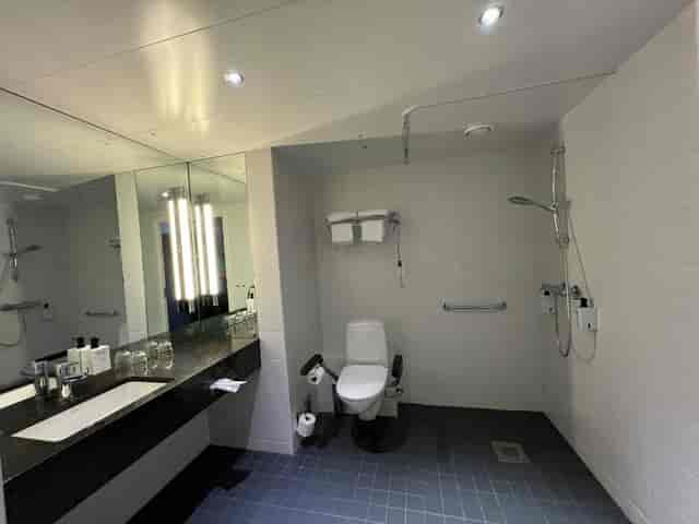 ADA-compliant hotel bathroom with grab bars for inclusive event room block planning.