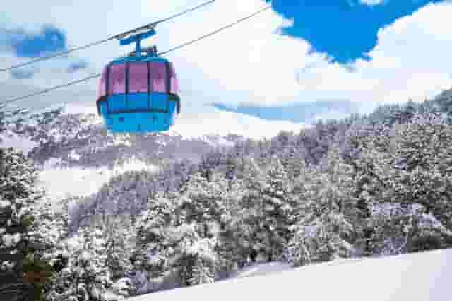 Neve