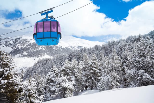 Neve