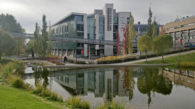 Research foundation