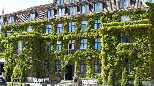 Ivy-clad Brasserie at Gabelshus, ideal for executive retreats and intimate weddings.