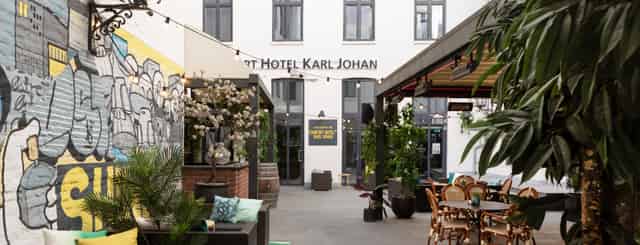 Carl Johan