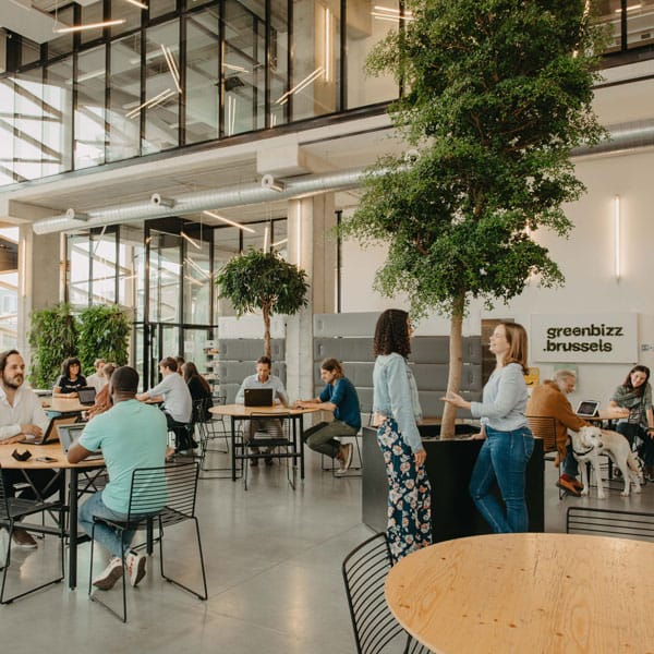 Modern biophilic coworking hub for professional networking and flexible business events.