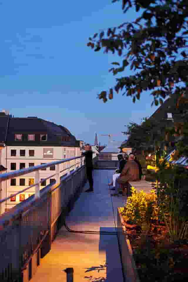 Rooftop Garden