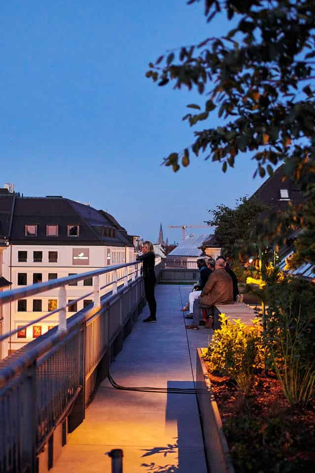 Rooftop Garden