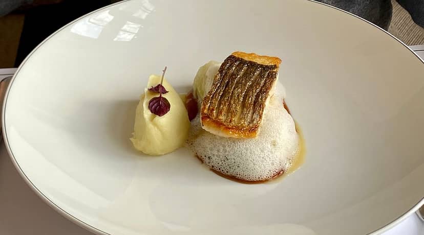 Seared fish entrée, elegant presentation for gala dinners and executive corporate events.