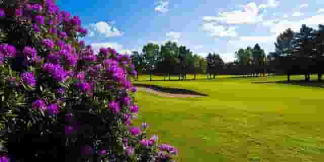 York Golf Club