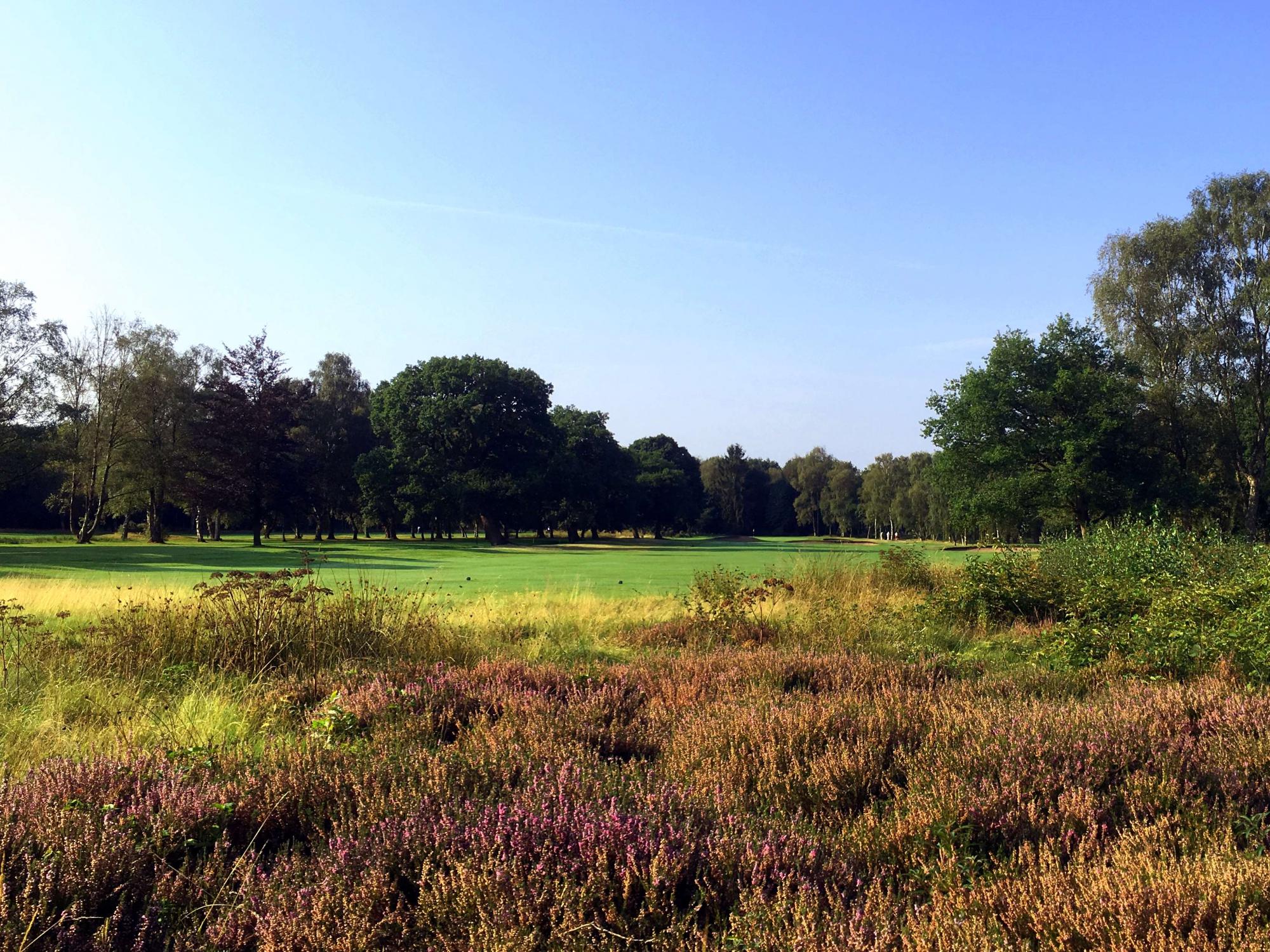 York Golf Club | United Kingdom | Top 100 Golf Courses