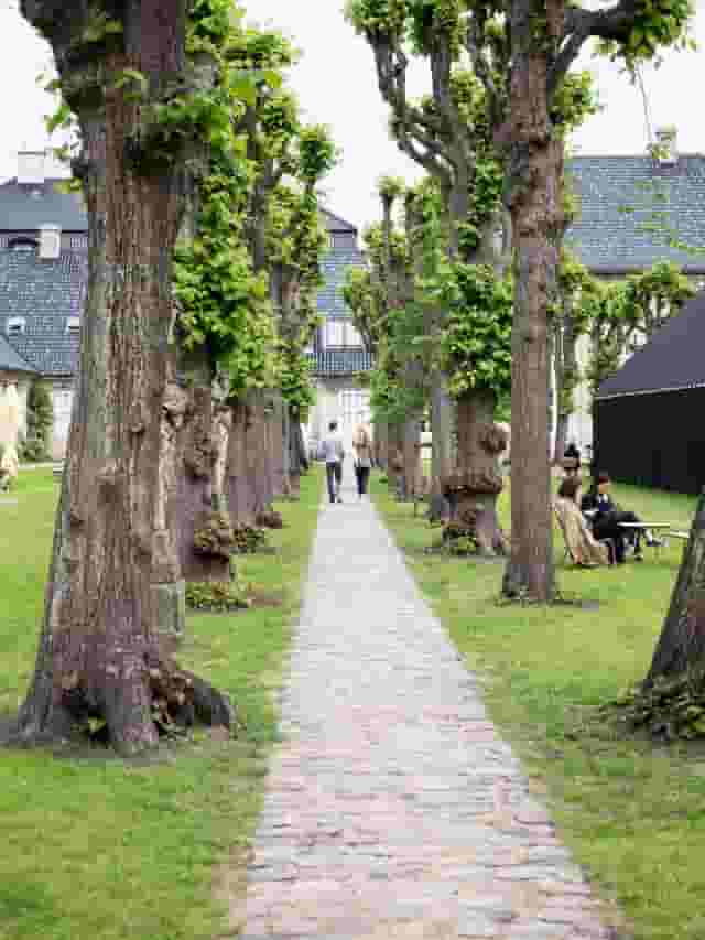 Museum garden