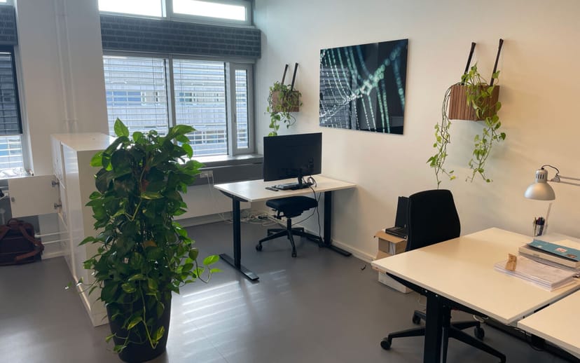 Biophilic K1 breakout space at Symbion for focus work and private consultations.