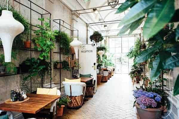 Rooftop terrace