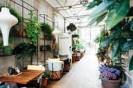 Outdoor Terraces