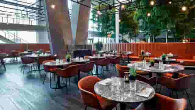Restaurant BARK