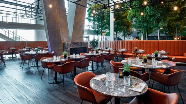 Restaurant BARK