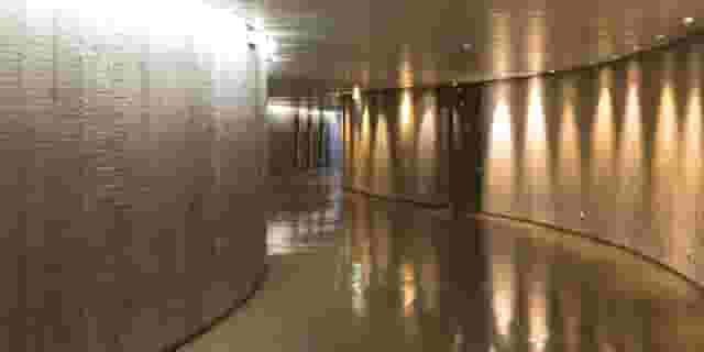 Espace Niemeyer