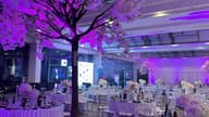Summer Party Venues