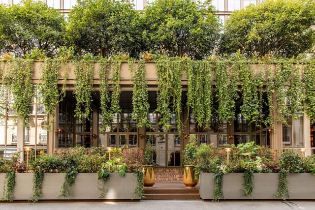 Biophilic BRACH restaurant venue for high-end cocktail receptions and outdoor networking events.