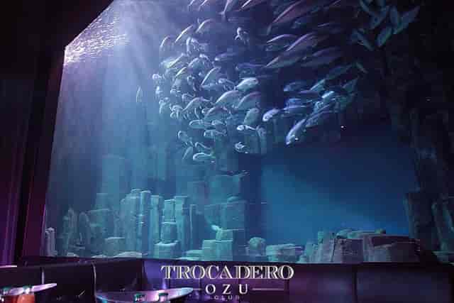 Le Club Paris Trocadéro event space with aquarium focal point for corporate and gala events.