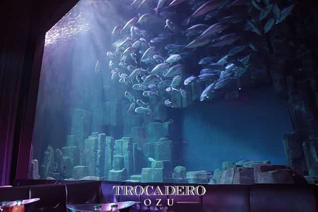 Le Club Paris Trocadéro event space with aquarium focal point for corporate and gala events.