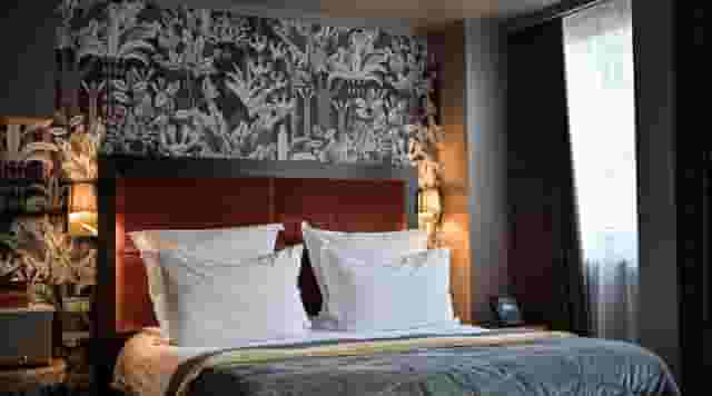 Suites & Rooms