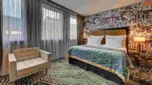 Suites & Rooms