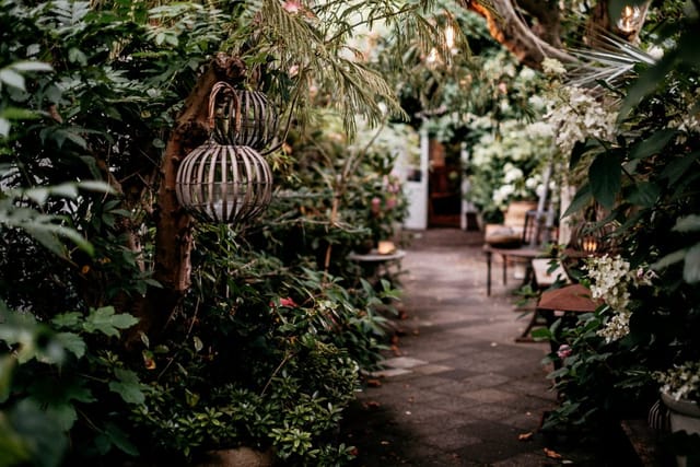 Lush botanical garden event space with ambient lighting for cocktail receptions and garden lounges.