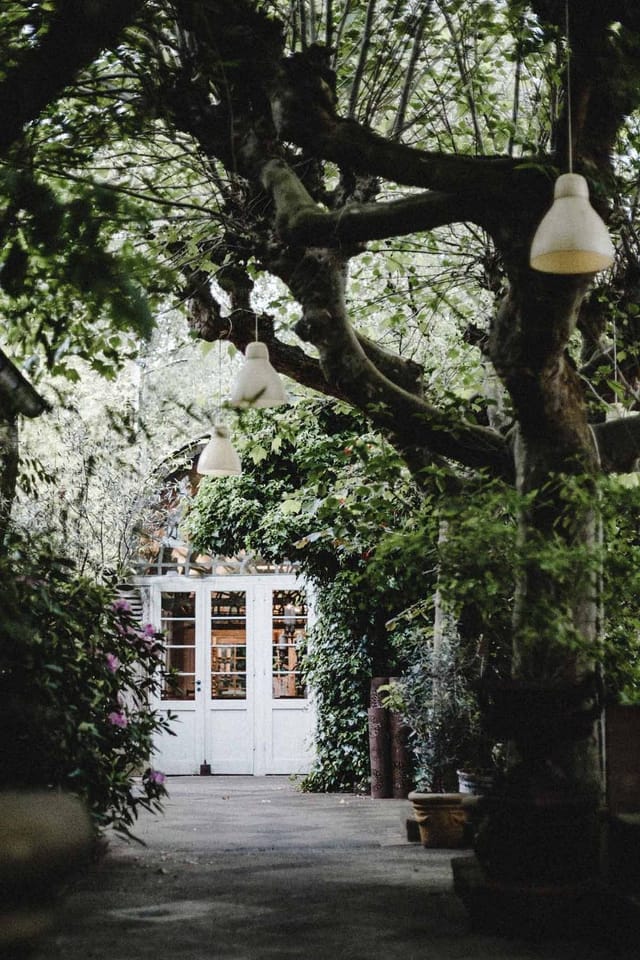 Lush garden venue at LADÜ, perfect for an intimate micro-wedding or boutique welcome reception.