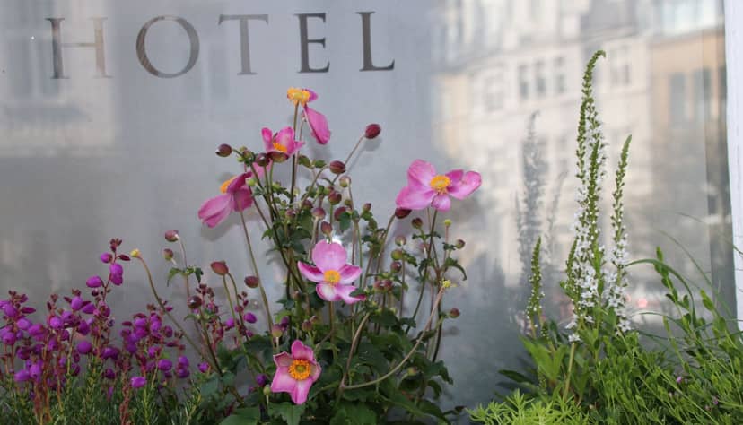 Hanseat Superior - 4-star hotel in Düsseldorf