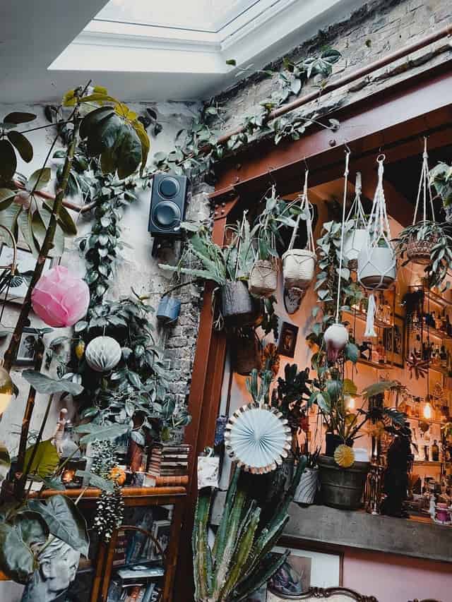 Cocktail bar