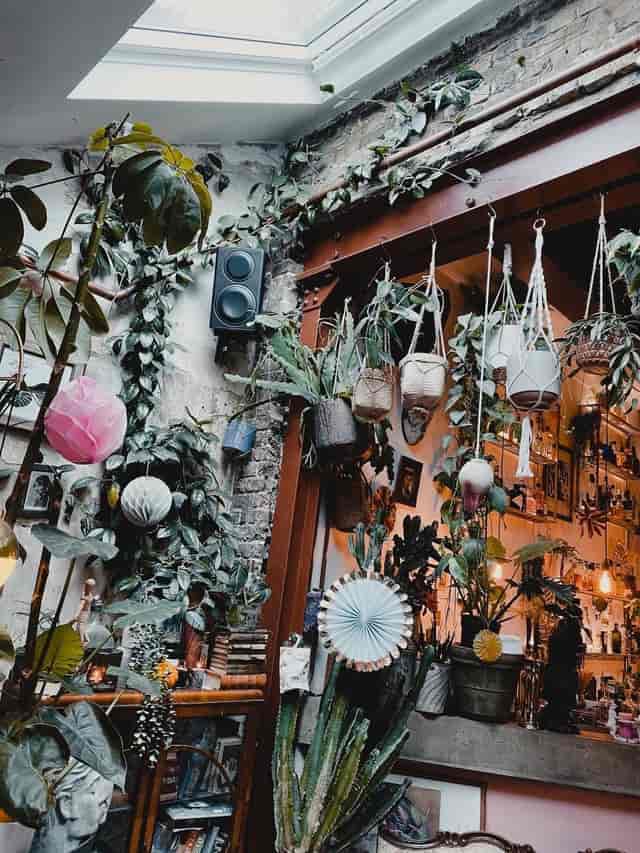 Bohemian cafe with biophilic design for boutique cocktail receptions and creative events.