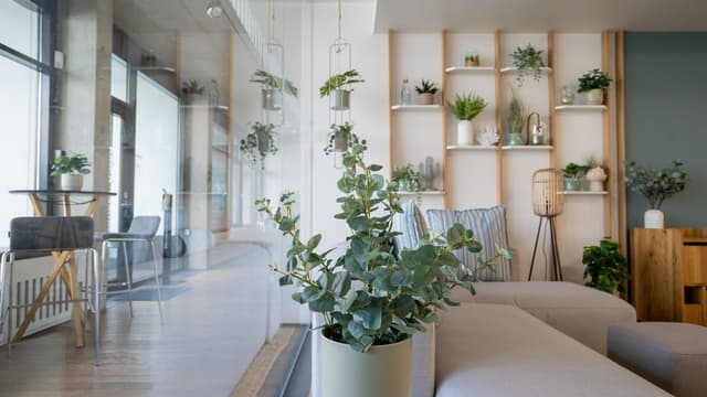 INVORA HAVEN