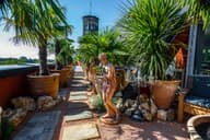 Summer Party Venues