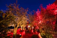 Christmas Party Venues