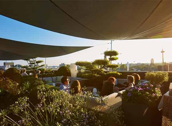 Rooftop terrace