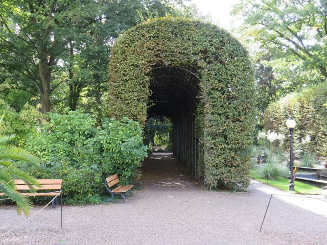Dachsalon