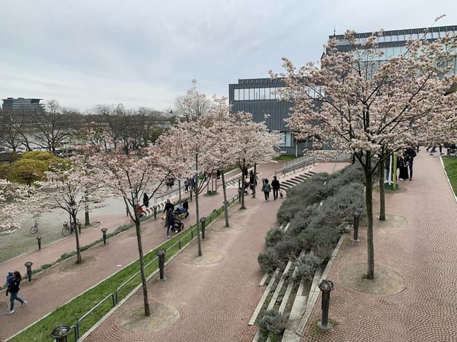 Kölner Philharmonie