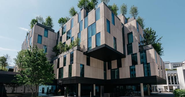 Biophilic Ruby Ella Hotel venue for luxury corporate retreats and sustainable incentive programs.