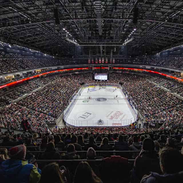 Arena