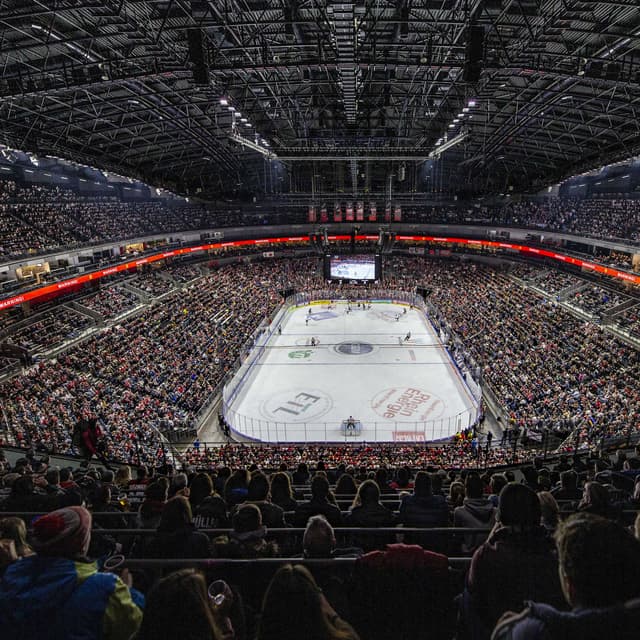 Arena