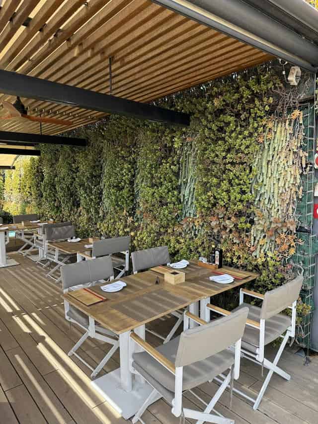 Rooftop terrace
