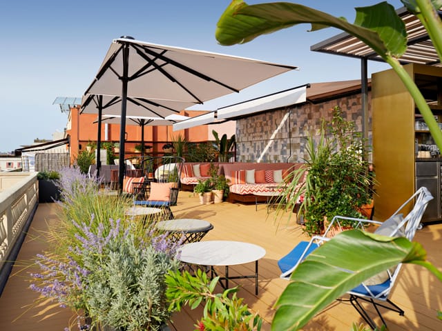 Terraza de Vivi lounge with biophilic design for networking events and cocktail receptions.