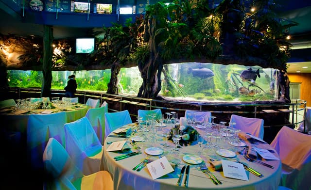 Planeta Aqua Room