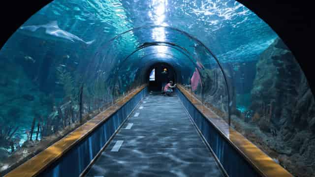 Planeta Aqua Room