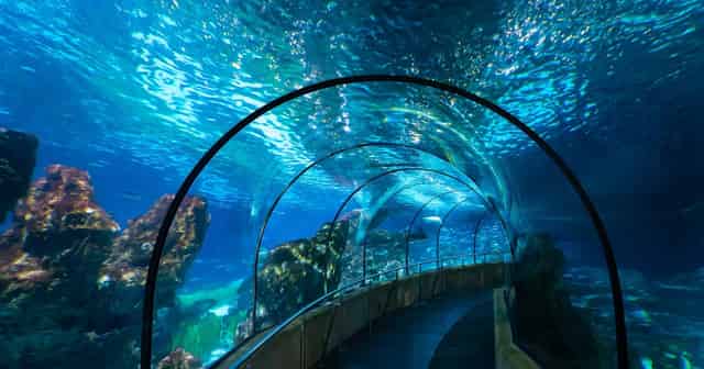 Planeta Aqua Room