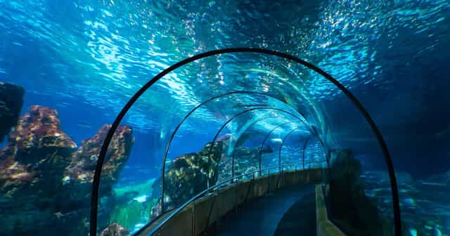 Planeta Aqua Room at L'Aquàrium: immersive event space for corporate receptions and venue branding.
