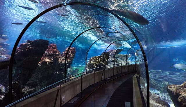 Planeta Aqua Room