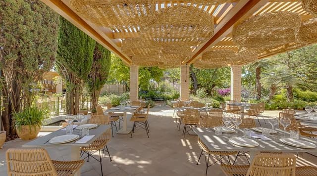 Hotel Mirlo